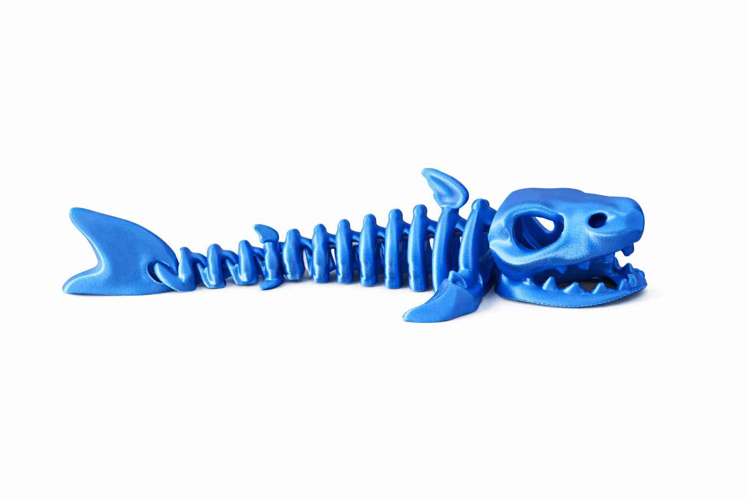Flexi Skeleton Shark | 3D Printed Articulated Fidget Toy